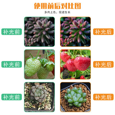 亚马逊热卖折叠量子板植物灯补光全光谱led植物生长灯多肉种植灯