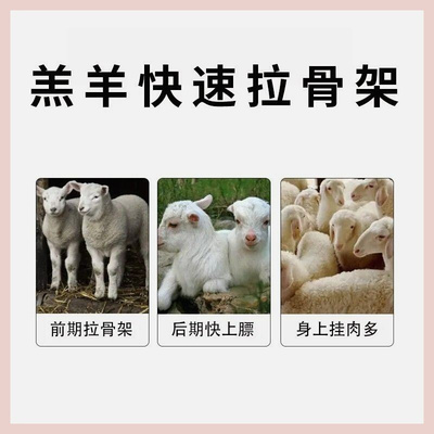 速发羔羊预混料架子羊拉骨架饲料小羊羔育肥促生长直发10斤