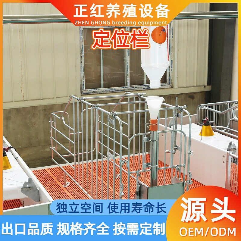 养殖场母猪定位栏落地式限位栏猪用定位栏带槽加厚产床仔猪保育