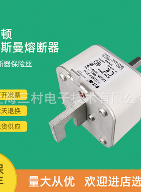 全新原装快速熔断器保险丝170M7250 170M7255 170M7260 170M7309