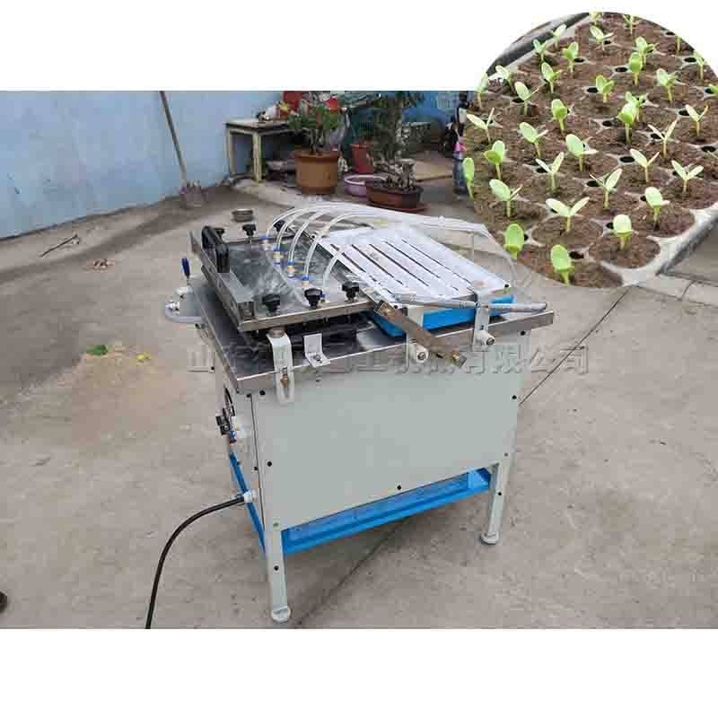 200 孔播种盘自动育苗机 蔬菜大棚用穴盘播种机 黄瓜育苗种植机