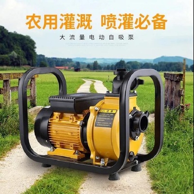 升级新款电动排水泵 小型手抬移动式抽水机  厂家发货电动水泵