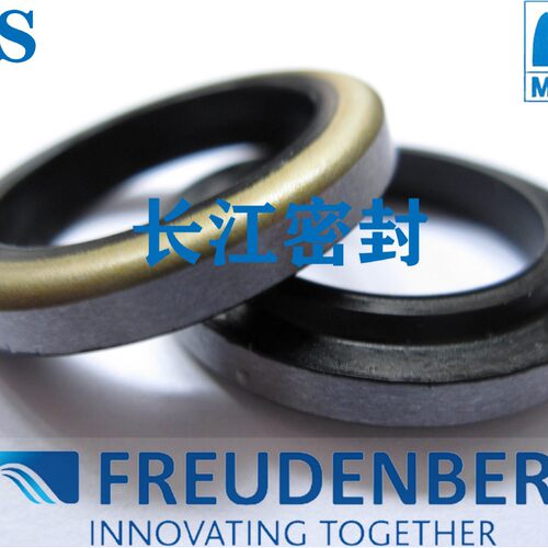 AS 90-100-7-10 刮油圈 FREUDENBERG 丁腈橡胶NBR 进口密封圈