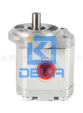 BUCHER齿轮泵AP212/19D880