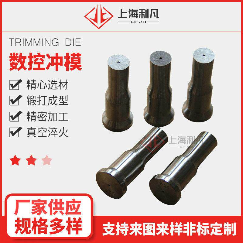 定制模具冲头铁塔冲剪机配件圆孔腰孔冲模成型数控孔冲床