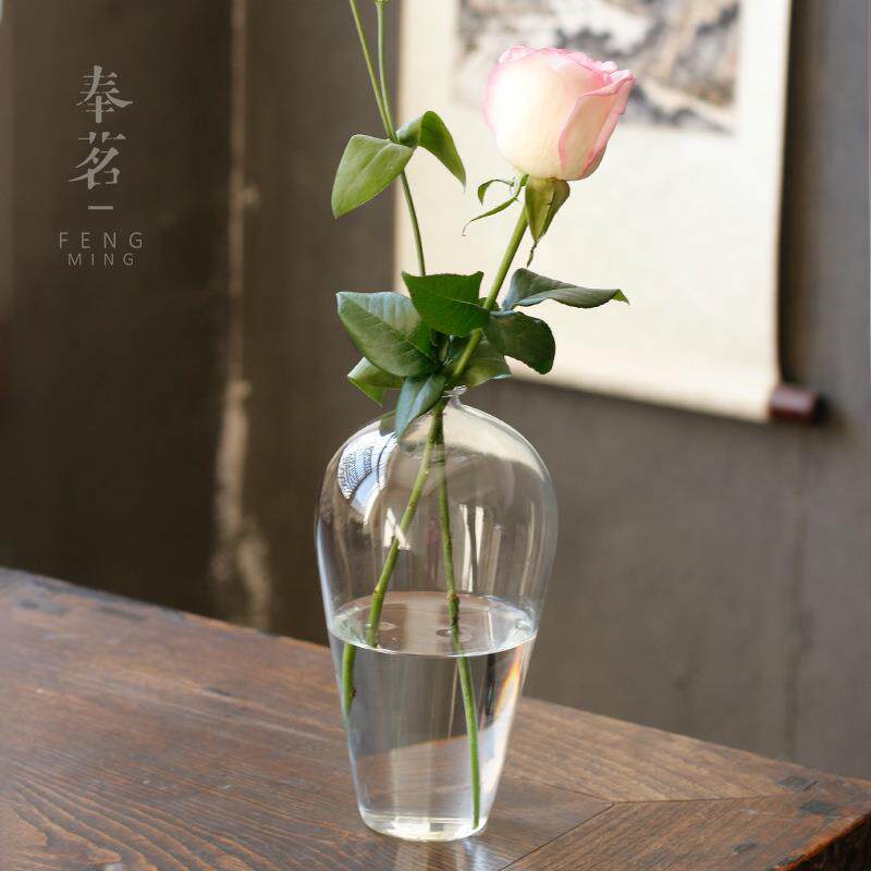 花瓶家居透明玻璃花器插花容器大号水培小口大肚花器