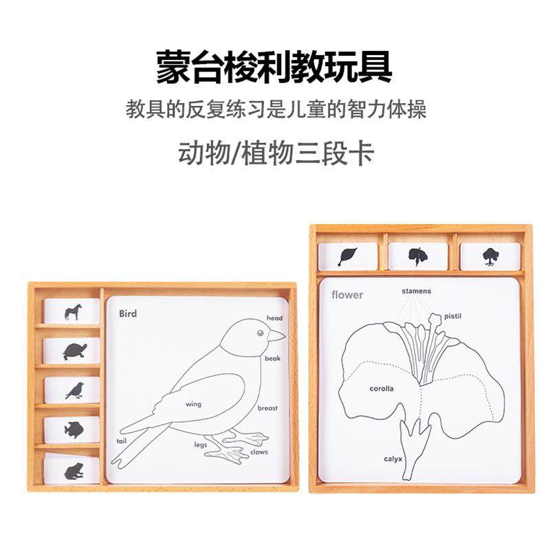 蒙台梭利蒙氏科学类教具动物植物三段木盒PVC卡片幼儿园早教,电子/电工,接线端子,淘宝优惠券,粉丝福利购,淘宝优惠卷