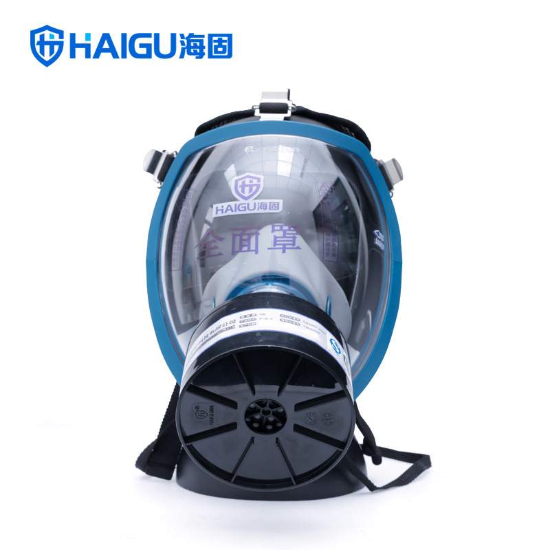 海固HG-800+P-B-2防护无机毒气套装