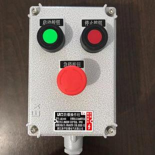 防爆操作柱 A4B2D4K1G非标防爆操作柱 防爆防腐操作柱BZC53