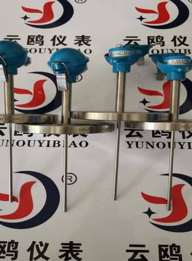 WZPK-231铠装薄膜铂热电阻元件WZPK-165/WZPK2326SA