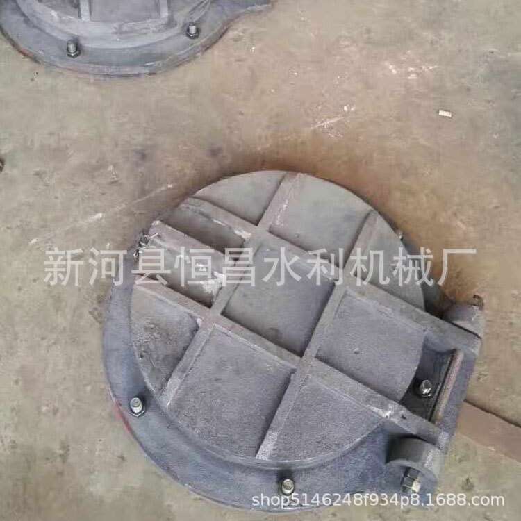 钢制拍门 玻璃钢拍门 铸铁镶铜闸门 液压卷扬启闭机