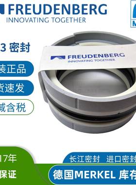 德国进口5组合油缸密封MERKELL43MFF油封