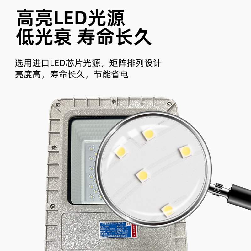 防爆路灯 LED隔爆型照明灯100W 加油站化工厂户外道路高杆路灯头