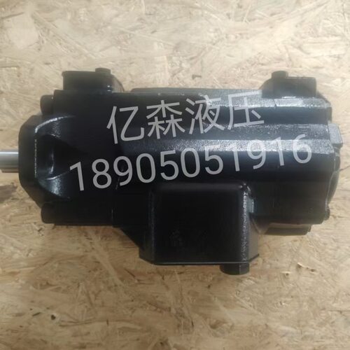 DENISON丹尼逊双联叶片泵T6CC0250121R00C100/T6CC-014/017/020