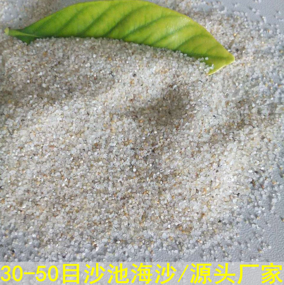 30-50目济南水洗圆粒海沙儿童沙池用白沙幼儿园沙坑沙子厂家批发