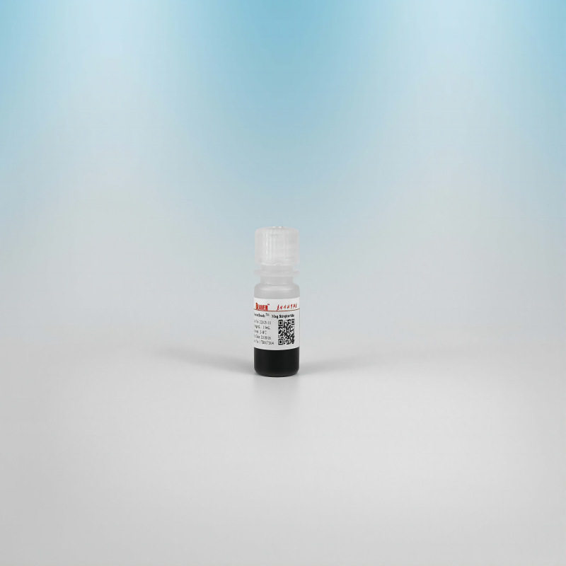 海狸链霉亲和素磁珠10mL10mg/m
