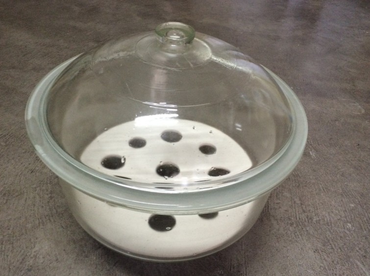 400mm 透明玻璃干燥器 玻璃 附瓷板 干燥皿 白色玻璃燥器