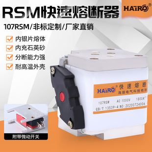 方管熔断器 螺栓连接式低压熔断器 107RSM熔断器熔芯