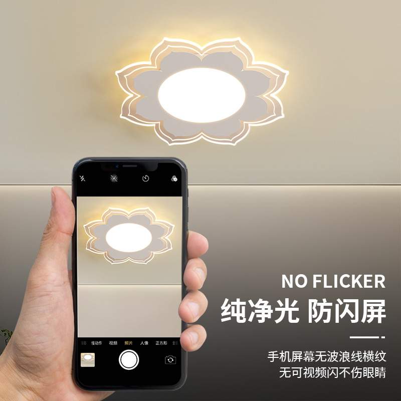 led花型吸顶灯客厅大灯主灯卧室灯灯具组合中山灯具厂直销