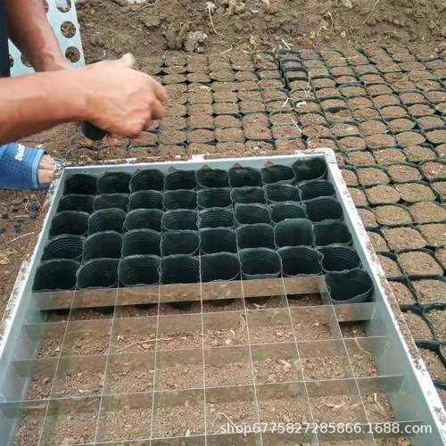 现货加厚育苗杯装土器营养杯装土器营养钵装碗器装杯器快速装土器