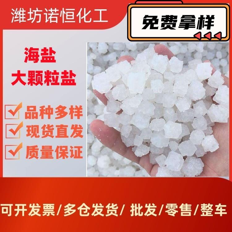 工业盐大颗粒盐日晒海盐锅炉水处理海盐生产粗盐原