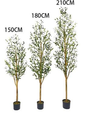 新款橄榄树盆栽落地大型家居装饰绿植盆栽橄榄树拆装