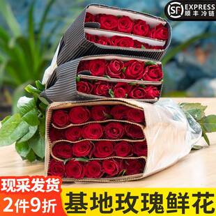 云南昆明鲜花基地直发红玫瑰花斗南直批家庭水养玫瑰花