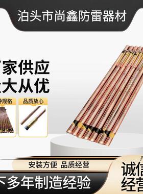 货离子接地极等离子接地极紫铜电解离子接地极仿腐紫铜离子接地极