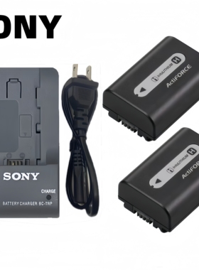 索尼 DCR-SR100 SR200 SR220 SR300 摄像机NP-FH50电池+充电器