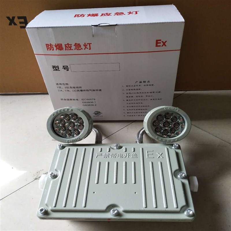 国标BAYJ防爆应急灯消防双头应急灯DC24V36V应急照明灯过道标志灯