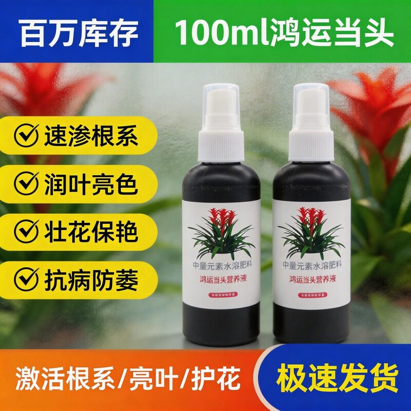 鸿运当头专用营养液速救黄叶促花生根免稀释家庭盆栽肥