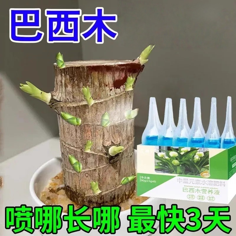 巴西木幸运木开花再生剂养花盆栽通用型水培植物专用肥料黄叶烂根