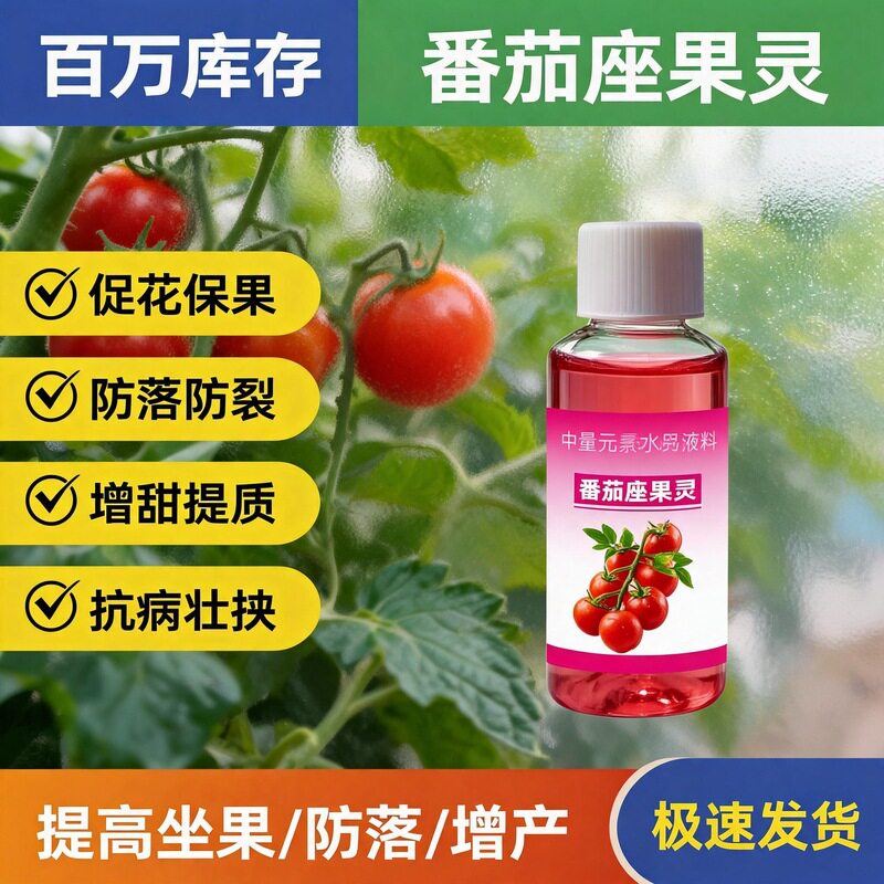番茄坐果灵西红柿圣女果专用免点花授粉保花保果防落果增产叶面肥