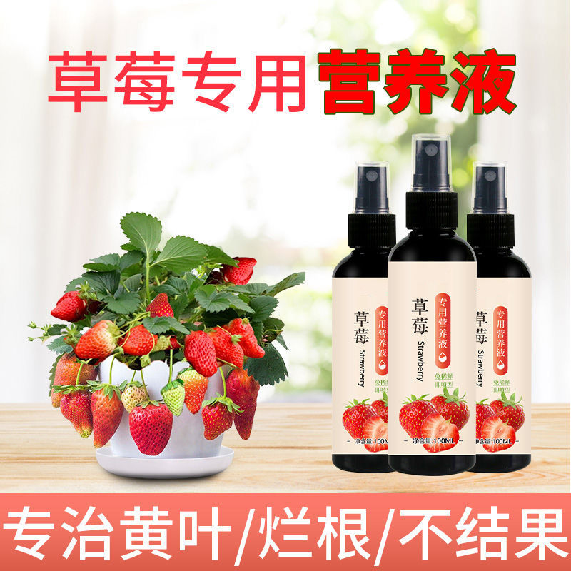 草莓专用肥营养液植物盆栽种植有机肥料高钾液体肥水溶肥