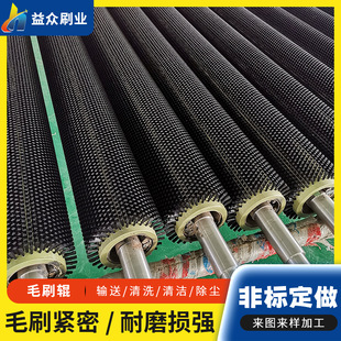 源头厂家植入式毛刷辊 尼龙铜丝滚筒刷 机械除尘清洗抛光毛刷辊