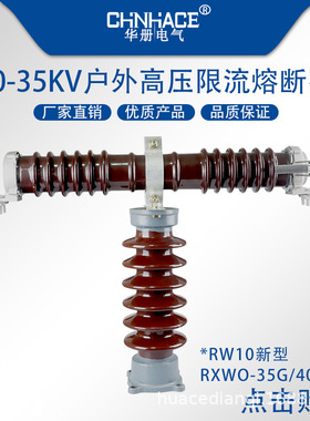 户外高压限流熔断器PT保护保险RW10RXWORWJ-35/40.5kv0.5A1A新型