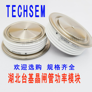 TECHSEM襄阳台基 H125KPN普通可控硅KP5000A4600V-5500V