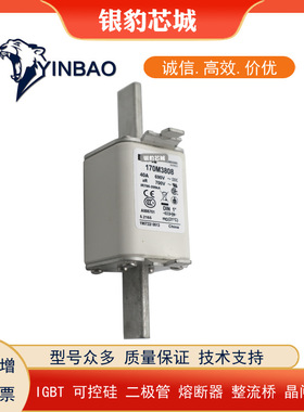 170M2678 170M2679 170M2680 170M2681巴斯曼熔断器