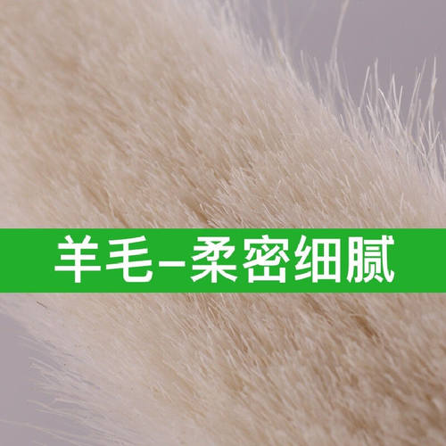好货DL/的力猪鬃毛扫把簸箕套装组合家用木地板头发软毛笤帚羊毛