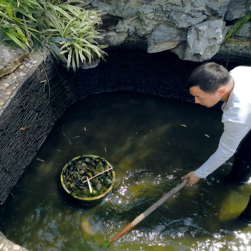 上海苏州杭州鱼池清洗服务上门维护清理过滤仓水池过滤器设备养护