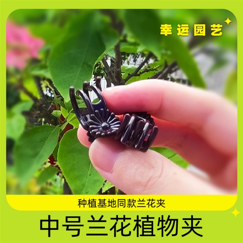 速发新款啡色五爪园艺固定夹子石斛蝴蝶兰洋兰类花专用爬藤植物造