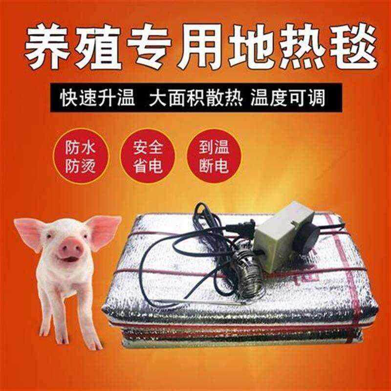 速发仔猪电热地暖垫 智能控温猪场供暖设备兽 猪用养殖设备
