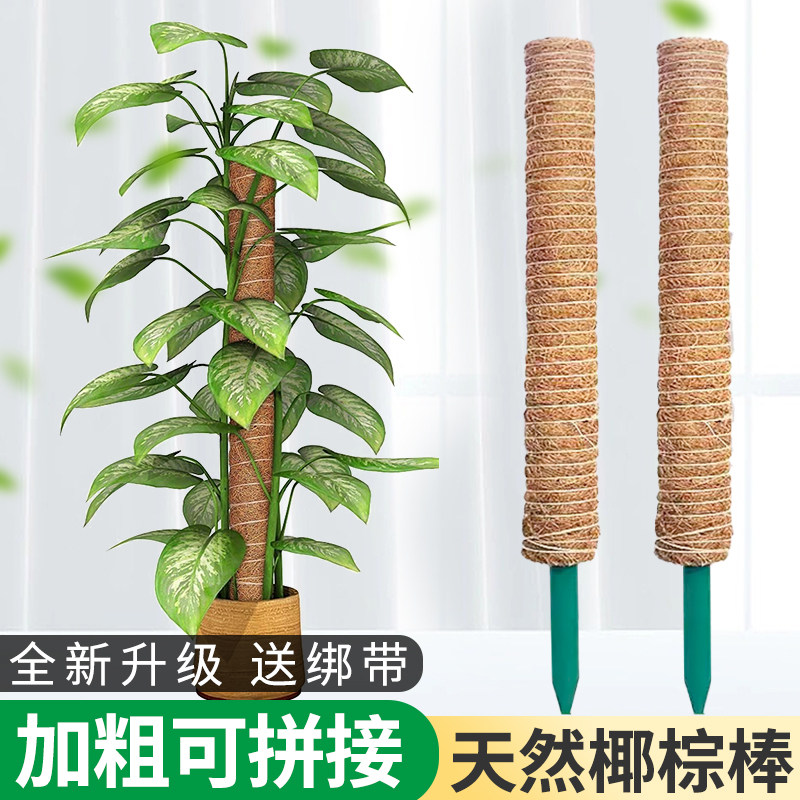 速发绿箩攀爬柱椰棕棒龟背竹支撑杆固榈架植物爬藤花棕架定皮椰丝