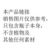 创意微景观玻璃苔藓生态瓶玻璃罩玻璃瓶雫雫迷你办公桌小型摆件