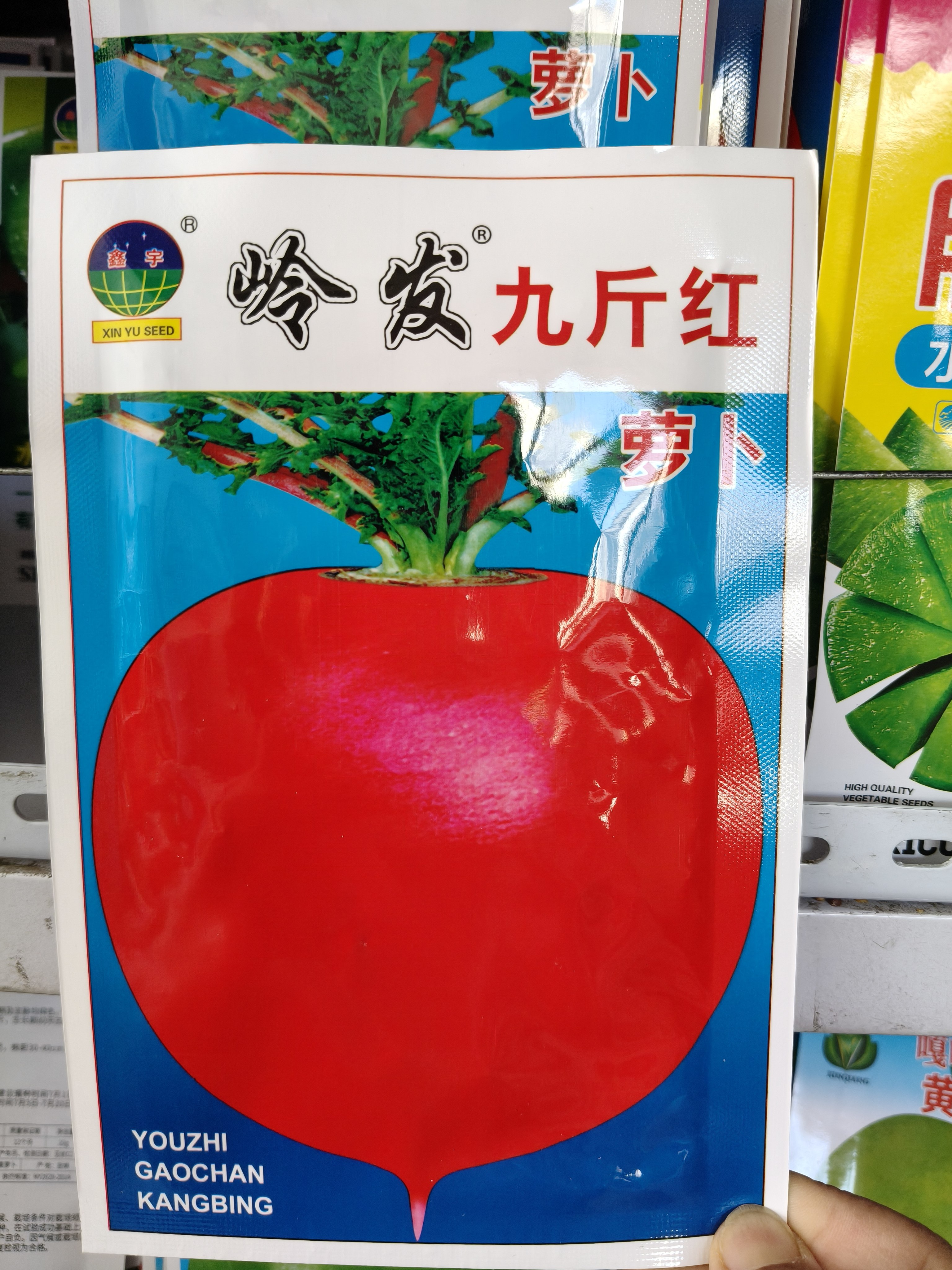岭发九斤红大萝卜种子  小顶小根