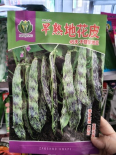 【早熟地花皮豆角种子】不搭架马掌豆角种子