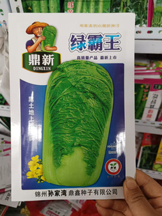 【鼎鑫绿霸王白菜种子】东北油绿大白菜种子青帮绿叶抗病高产正品