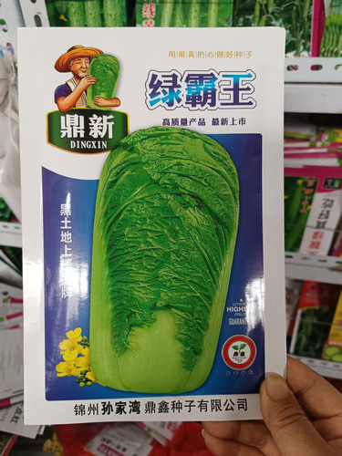 鼎鑫绿霸王抗病高产大白菜种子