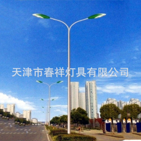 天津道路照明 8米双弯灯杆路灯杆道路小区双臂灯杆LED照明路灯杆