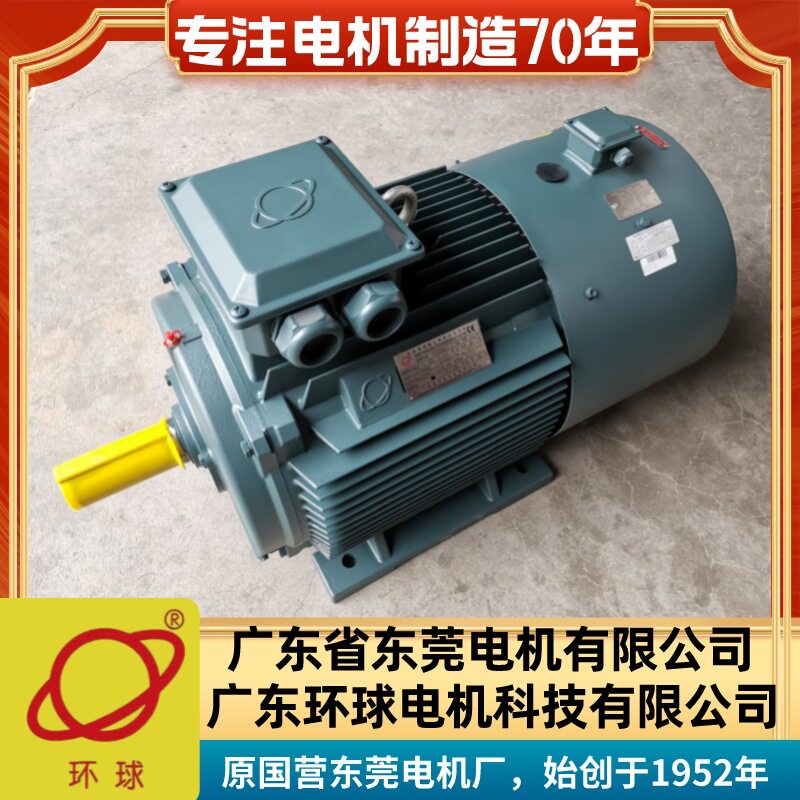 广东东莞环球牌三相电动机Y2VF280M-6-55KW变频调速电机立卧式B35